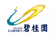 陆河碧桂园地产